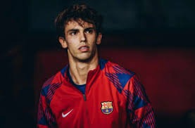 新赛季越来越近！掘金官推更新球员们近期的训练动态