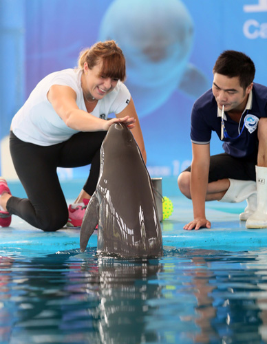 当曼联的球 当曼联的球